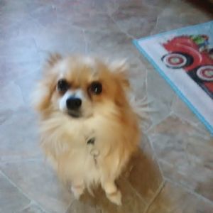 Meet your Posher, Sharon